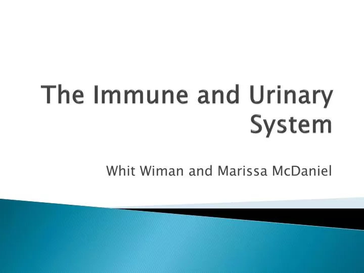 the immune and urinary system