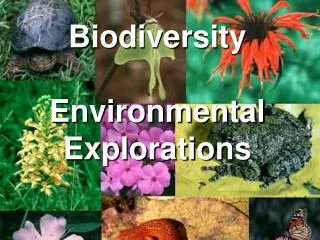Biodiversity Environmental Explorations