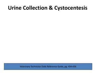 Urine Collection &amp; Cystocentesis