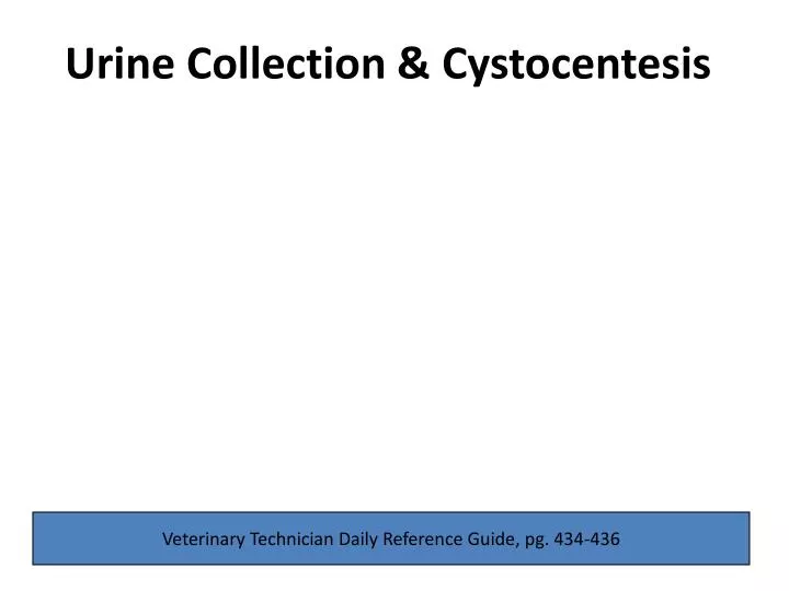 urine collection cystocentesis