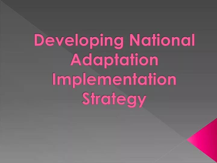 developing national adaptation implementation strategy