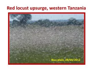 R ed locust upsurge, western Tanzania