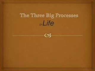 The Three Big Processes