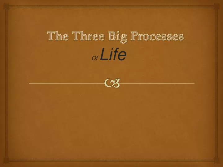 the three big processes