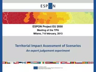 Territorial Impact Assessment of Scenarios An expert judgement experiment