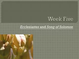 week five