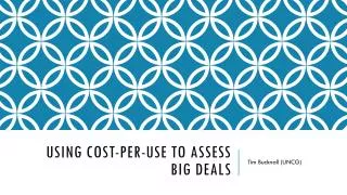 Using Cost-Per-Use to assess Big Deals