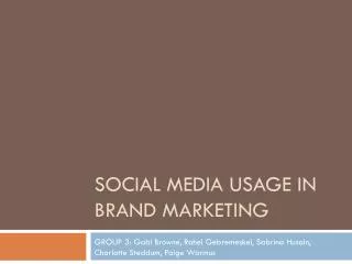 Social Media Usage in Brand Marketing