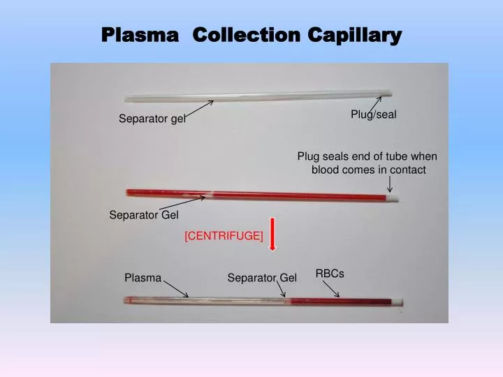 plasma collection capillary