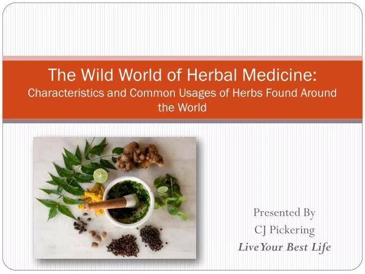the wild world of herbal medicine characteristics and common usages of herbs found around the world