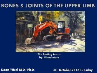 BONES &amp; JOINTS OF THE UPPER LIMB