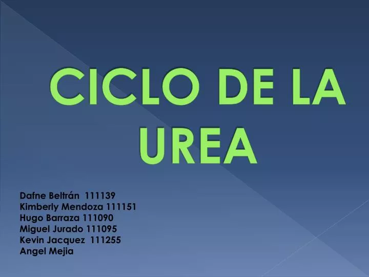 ciclo de la urea