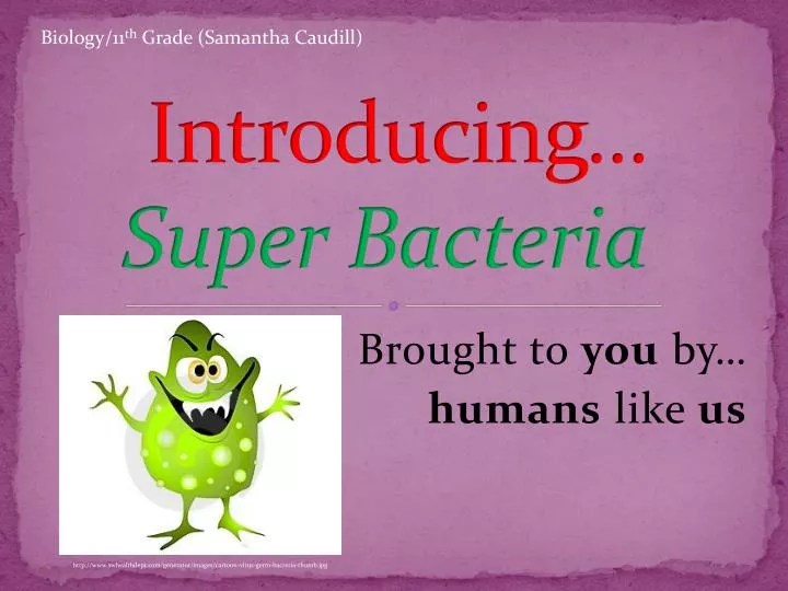 introducing super bacteria