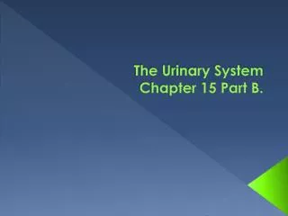 The Urinary System Chapter 15 Part B.