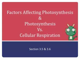Factors Affecting Photosynthesis &amp; Photosynthesis Vs. Cellular Respiration