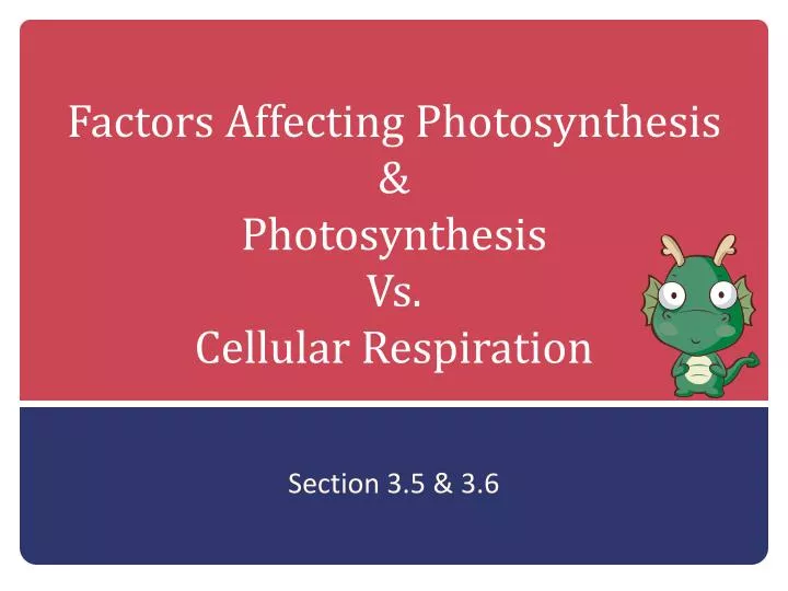factors affecting photosynthesis photosynthesis vs cellular respiration