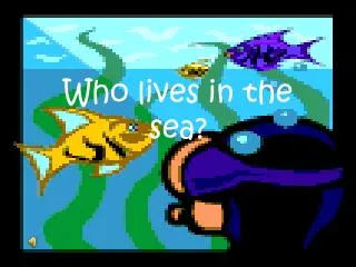 Who lives in the sea?