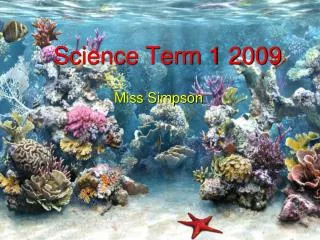 Science Term 1 2009