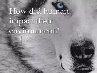 How did human impact their environment?