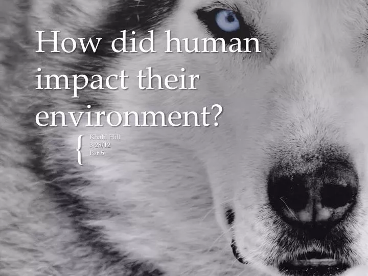 how did human impact their environment