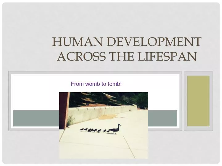 human development across the lifespan