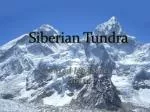 Siberian Tundra - slide 1