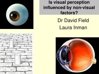 Is visual perception influenced by non-visual factors ?