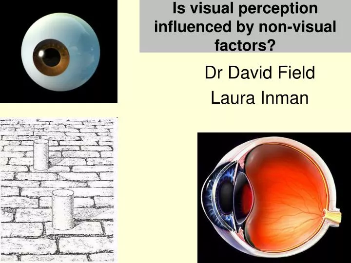 is visual perception influenced by non visual factors