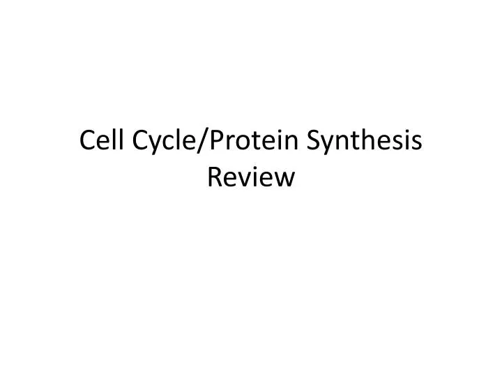 cell cycle protein synthesis review