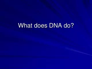 What does DNA do?
