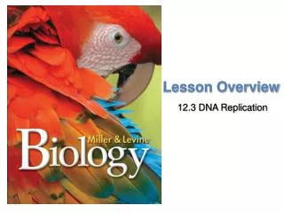 lesson overview