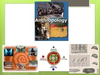 What is Anthropology?