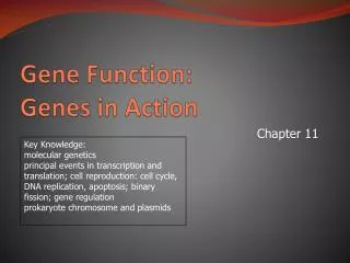Gene Function: Genes in Action
