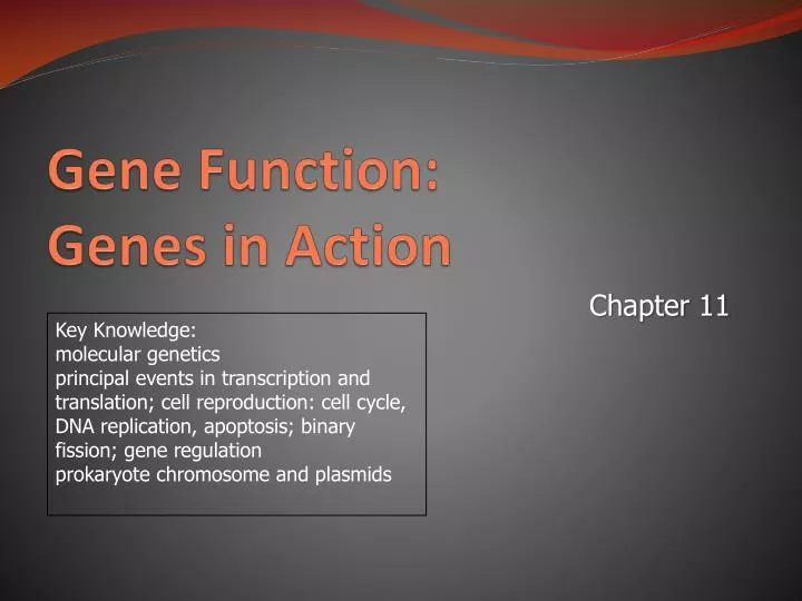 gene function genes in action