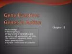 Gene Function: Genes in Action - slide 1