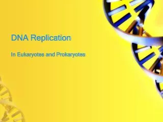 DNA Replication