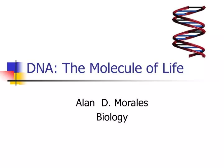 dna the molecule of life