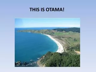 THIS IS OTAMA!