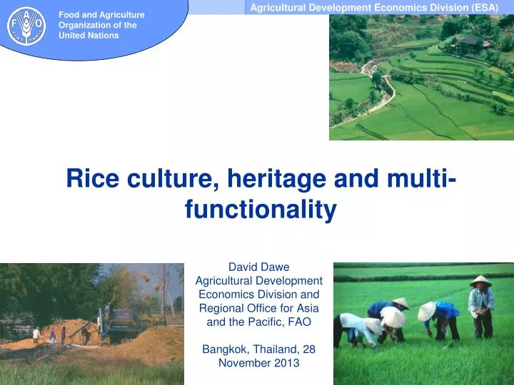 rice culture heritage and multi functionality
