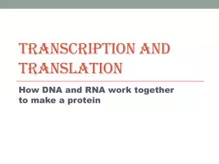 Transcription and Translation