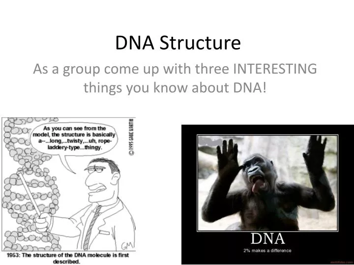 dna structure