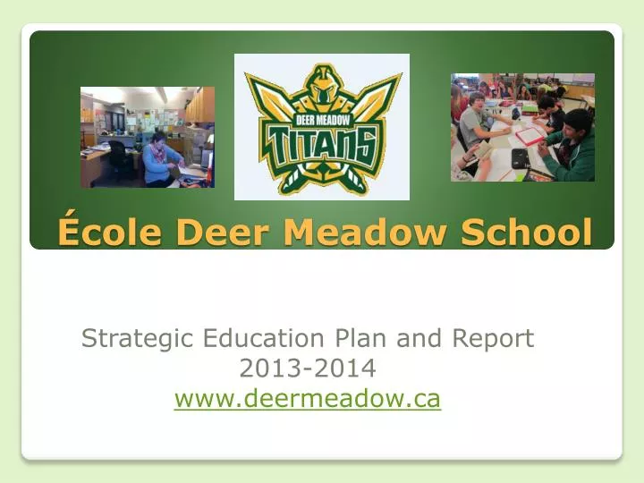 cole deer meadow school