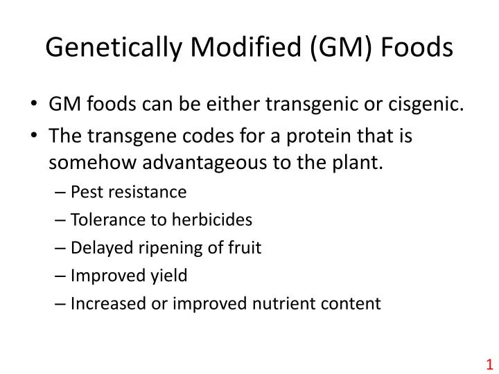 genetically modified gm foods