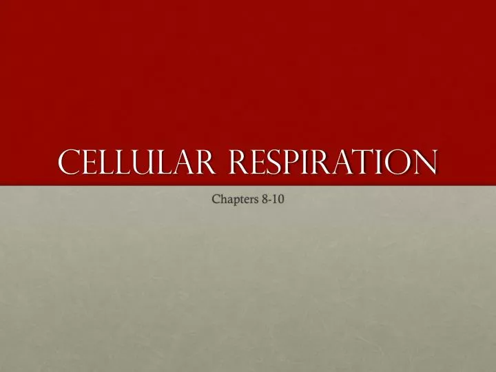 cellular respiration