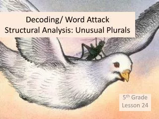 Decoding/ Word Attack Structural Analysis: Unusual Plurals