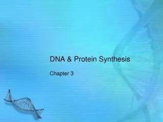 DNA &amp; Protein Synthesis