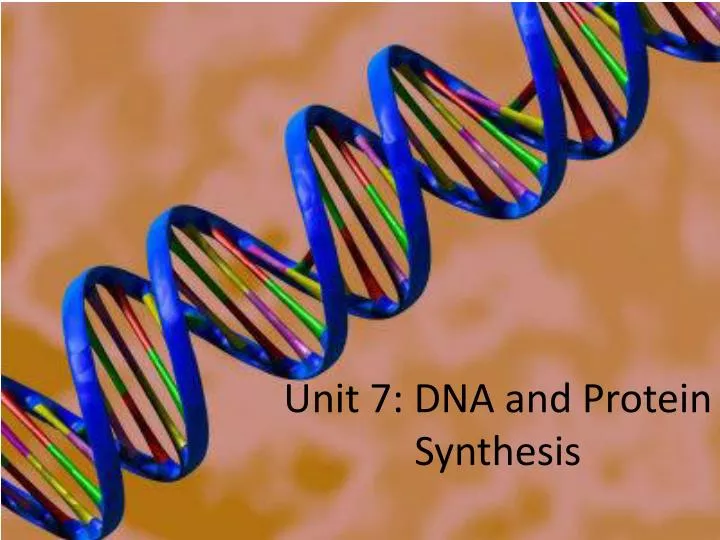 unit 7 dna and protein synthesis