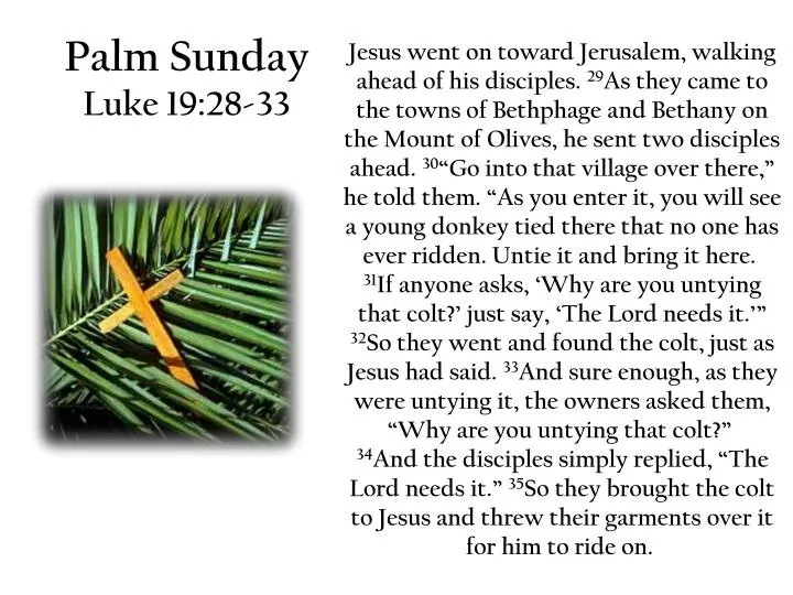 palm sunday luke 19 28 33