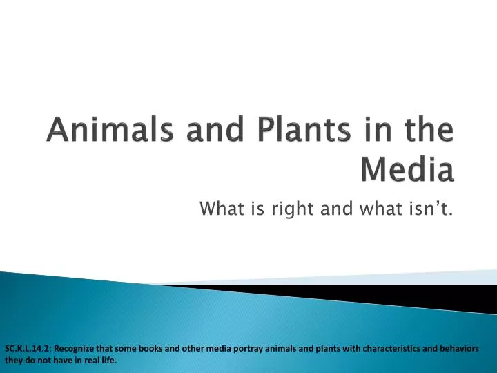 animals and plants in the media