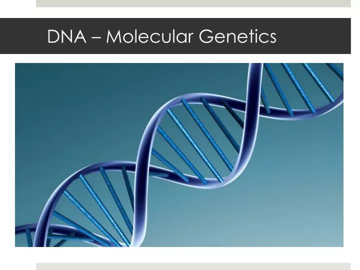 dna molecular genetics
